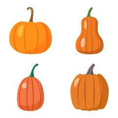 Set of pumpkins isolated on white background
