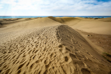 Summer background of free space for your decoration and ocean landscape 