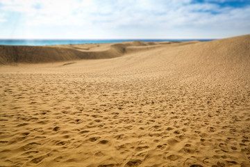 Summer background of free space for your decoration and ocean landscape 