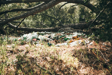 Pollution of the environment. Garbage pile in the forest. Waste or debris on the ground. Pollution of nature.