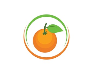 orange fruit icon vector logo illustration