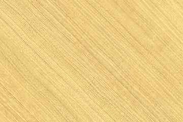 brown oak tree wood wallpaper structure texture background