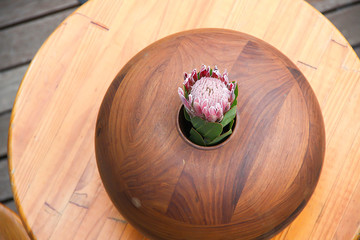 Protea flower in a wooden bowl