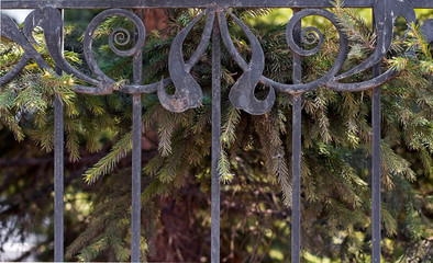  ornament in a mental wrought fence. black wrought fence