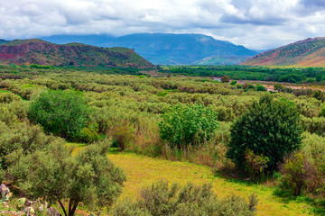 Fototapeta na wymiar Landscape and scenery during road trip from Marrakech to Atlas Mountains, Morocco