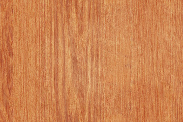 old vintage rustic oak wood timber tree wooden surface wallpaper structure texture background