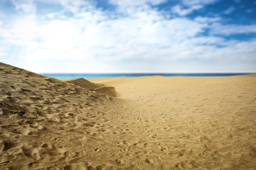 Summer background of free space for your decoration and ocean landscape 