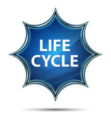 Life Cycle magical glassy sunburst blue button