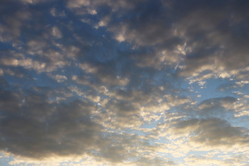 Evening nature folds to a romantic mood. Warm colors. The region of the temperate climate of the European continent