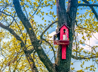 birdhouses for birds in the trees