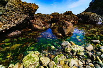 [静岡県] 南伊豆の自然 田牛
