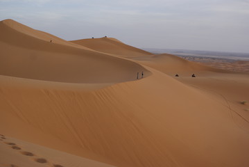 Fototapeta na wymiar Dunes and sand in the desert
