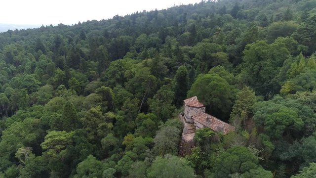 Aerial view forest and ancient building under grey cloudy sky. Drone moving above treetop and red tiled roof pavilion in park of Bussaco palace. Portugal, Luso