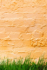 Background of a brick wall painted orange with green grass growing at the bottom.