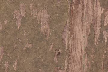old vintage grunge fisher boat barn tree wood structure texture background