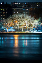 Trees reflecting in the East River, at night, New York City