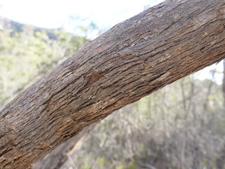 Fototapeta premium old wooden fence