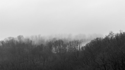 Fototapeta na wymiar Heavy fog rolling down the hill side, making its way between leafless autumn trees, black & white, Lancaster County, PA