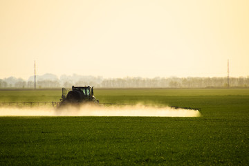 Fototapeta premium tractor with the help of a sprayer sprays liquid fertilizers on young wheat in the field.