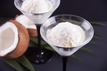 Coconut ice cream on the black background with palm leaf and coconut