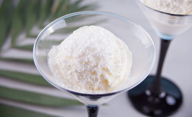 Coconut ice cream on the gray background with palm leaf