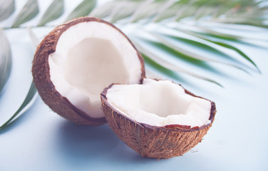 Coconut on blue background with palm leaf