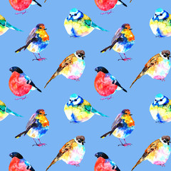 Seamless pattern birds. Hand drawn watercolor illustration. Robin bird, bullfinch bird, titmouse on blue background