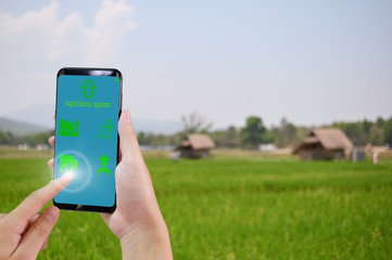 Smart farm system  Agriculture management, Hands holding and tech on screen Smartphone with Smart technology concept.