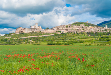Fototapeta na wymiar Assisi, Umbria (Italy) - The awesome medieval stone town in Umbria region, with the famous Saint Francis sanctuary. 