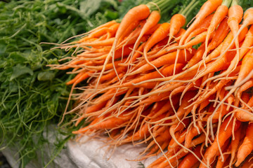 Bunch of fresh carrots on a market. 