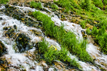 close-up of a mountain stream with green grass