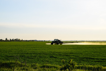 tractor with the help of a sprayer sprays liquid fertilizers on young wheat in the field.