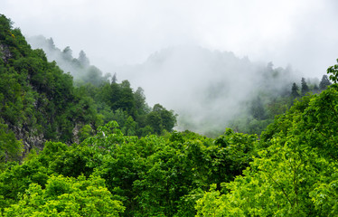 View of Caucasian mountains