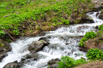 Fototapeta na wymiar View of the brook in Caucasian mountains