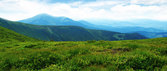 Obraz premium Mountain landscape in summer