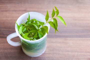 Neem (Azadirachta indica) Water or Hydrosol in Measuring Mug with Neem leaves against wooden background.
