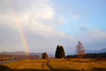 Road through the field. Day after rain. Rainbow in cloudy skies. Altai Republic, Russia.