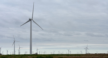 wind turbines in field