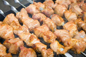 Juicy kebab on skewers