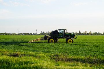 tractor with the help of a sprayer sprays liquid fertilizers on young wheat in the field.