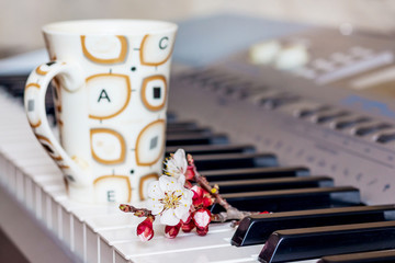 Branch of apricot with flowers and a cup of hot coffee on the piano keys_