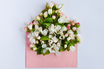 Delicate buds of a flowering Apple tree in a pink paper envelope on a white on a pink background. Flat lay, top view, copy space