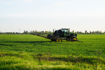 tractor with the help of a sprayer sprays liquid fertilizers on young wheat in the field.