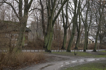 roskilde