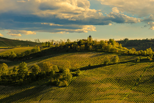 the church in the vineyard