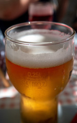beer glass with pale ale lager