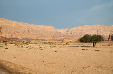 Fototapeta na wymiar tima national park in israel