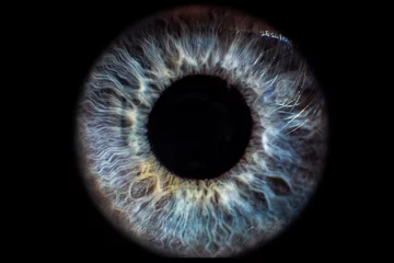 Möbelaufkleber Iris Auge blau vor schwarzem Hintergrund © Gianni