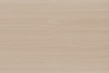 wood timber tree wooden backdrop structure texture background wallpaper