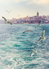 Fototapeta premium Citycape of Istanbul with Galata tower on skyline and flying birds over the sea in the Golden Horn. Vertical background for billboard with place for text about your trip in Turkey.